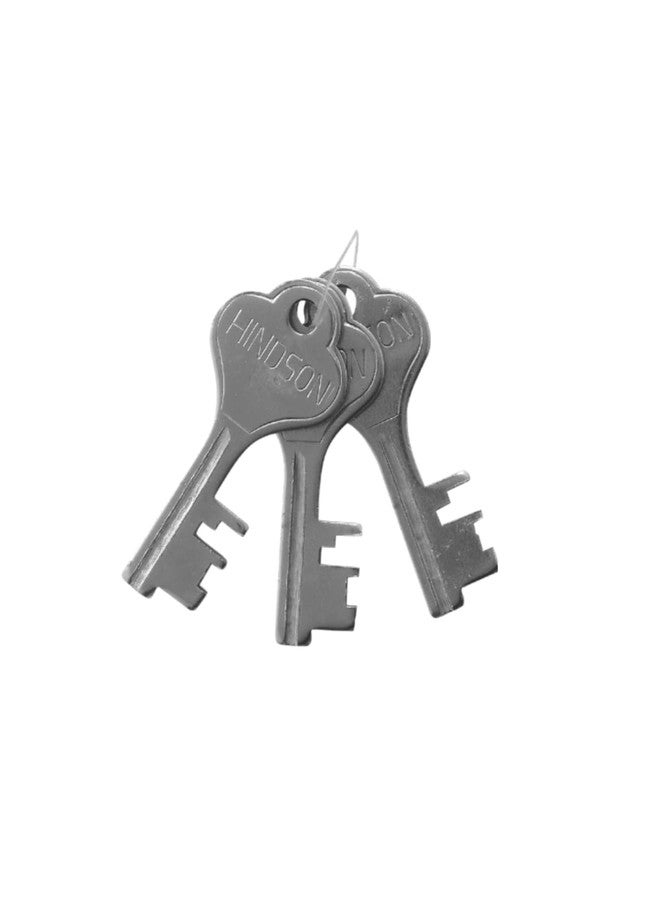 Hindson Round 65 Gold Durable Rust Resistant Safety Locks - Pack of 2 - Image 3